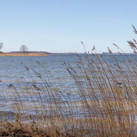 Ferienhaus Vor Ruegen Sundhagen-Niederhof Екстериор снимка